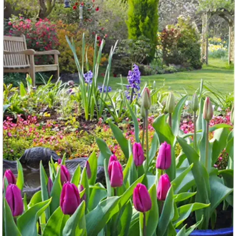 Figure → Link → p13 q38zewj2rpvfbg4j3u8tlic1y6iuf8mj8d2eblcq2k.jpg 3