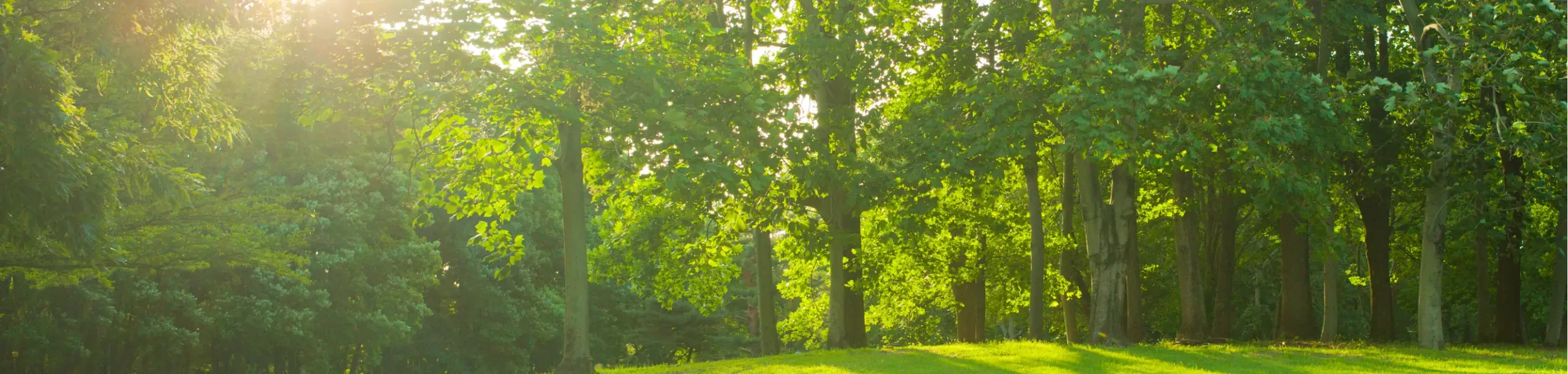 a7d653f84886e166c5a2c6992145f1f3ad00367a scaled