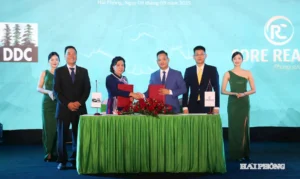 dai son mountain side 4