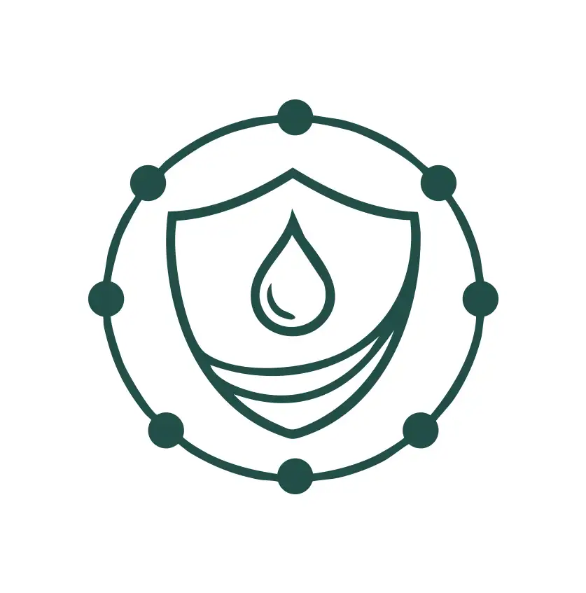 Icon 3